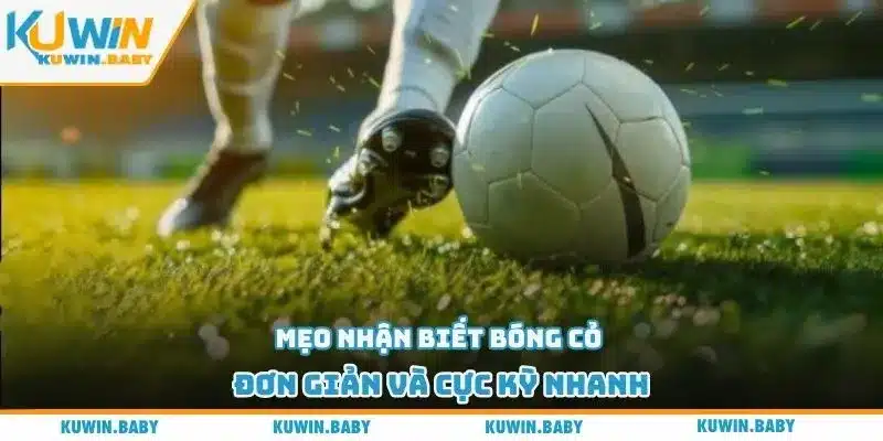 Mẹo nhận biết bóng cỏ đơn giản và cực kỳ nhanh